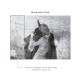 Affreschi & Affreschi | Carpe Diem | CD022